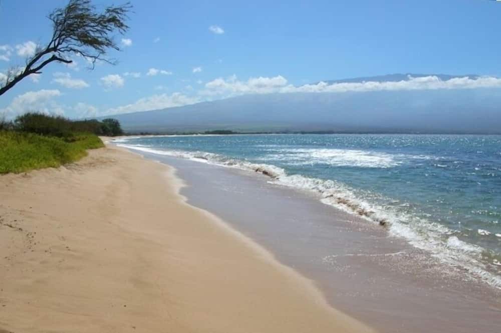 Photo of Others in Maalaea
