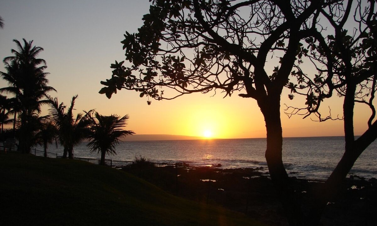 Photo of Others in Napili