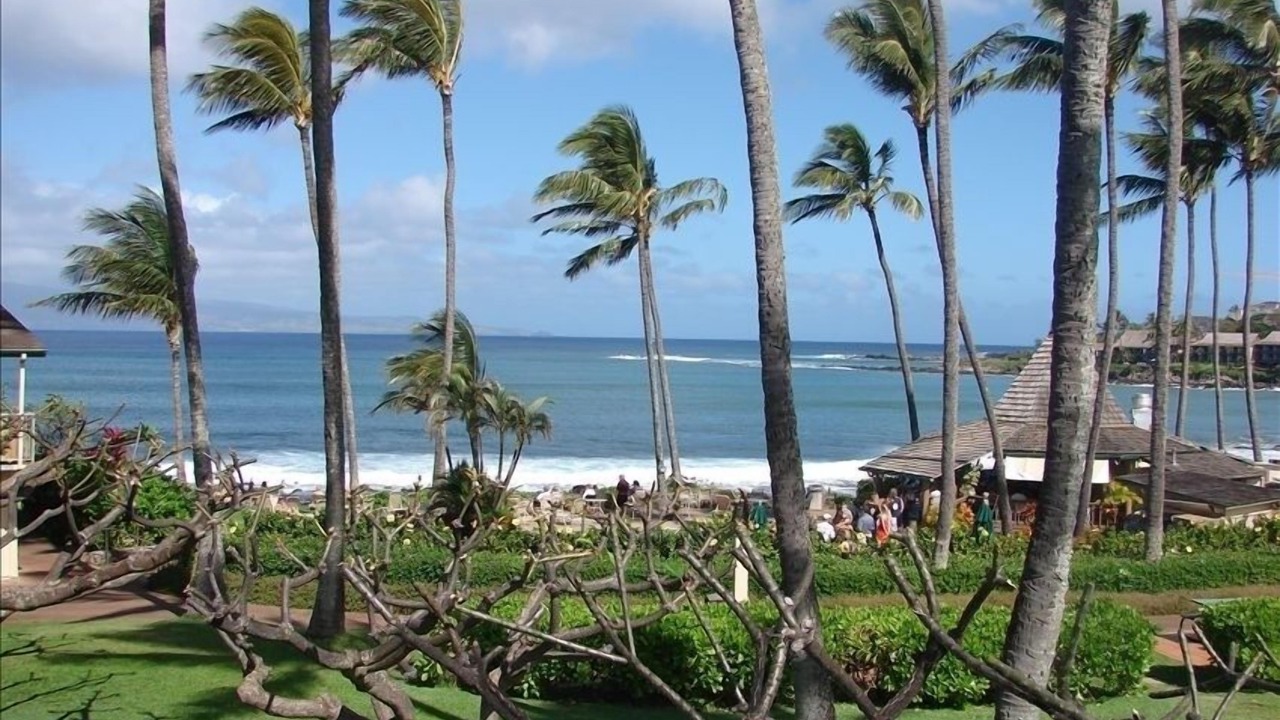 Photo of Outdoor in Napili