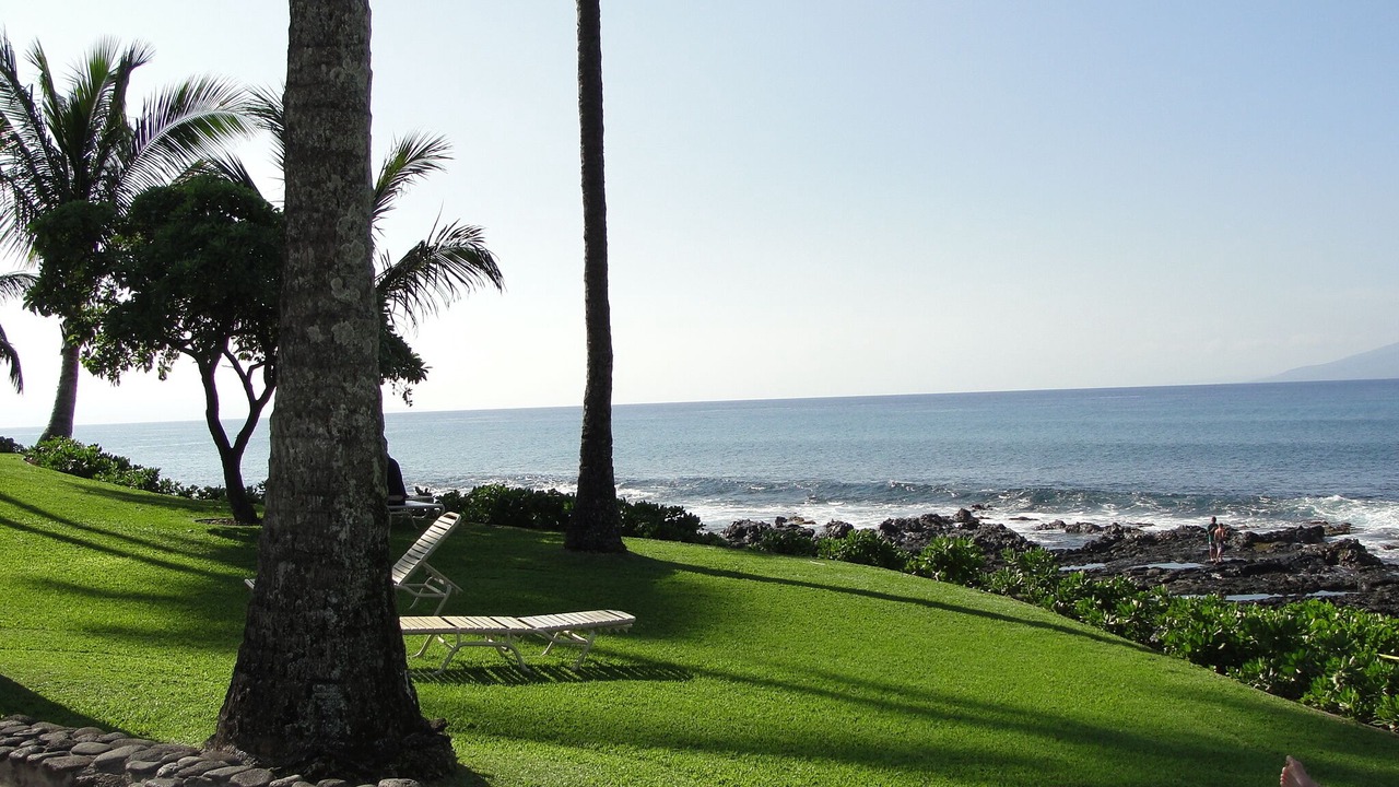 Photo of Outdoor in Napili