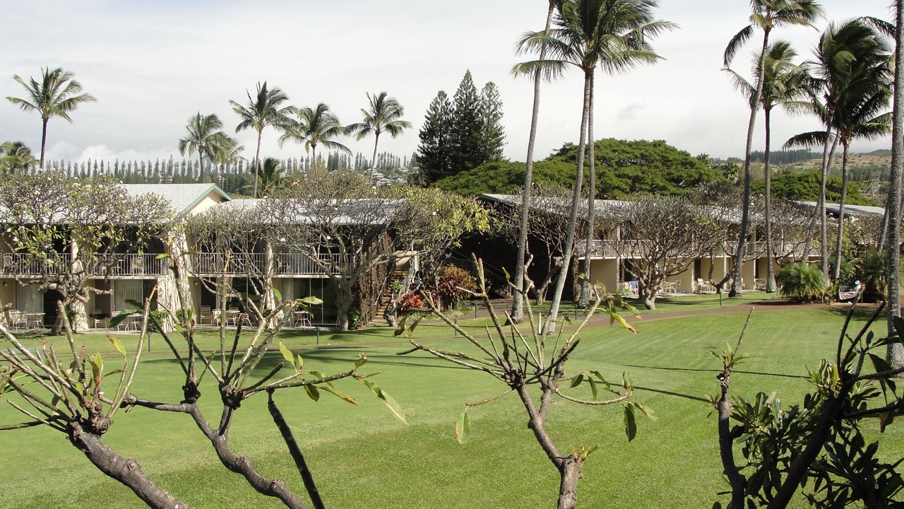 Photo of Others in Napili