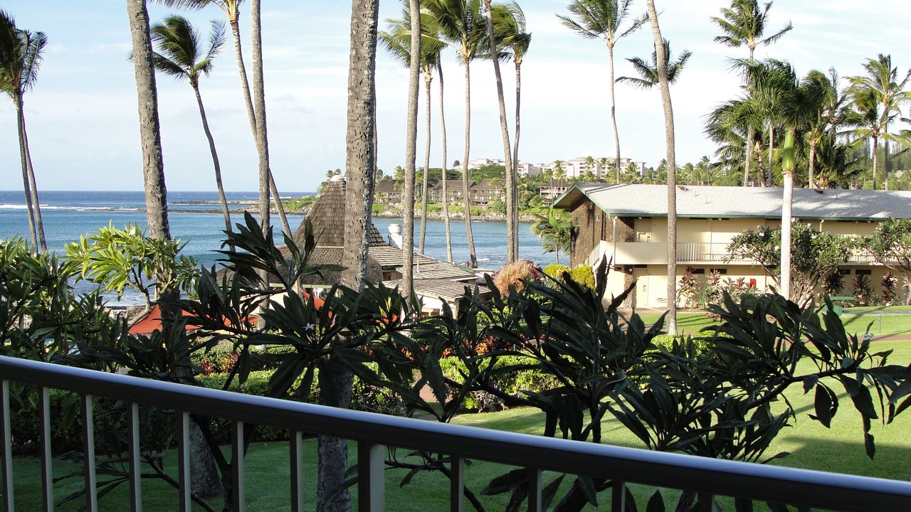 Photo of Outdoor in Napili