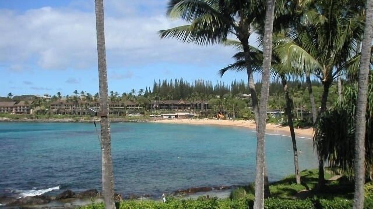 Photo of Others in Napili
