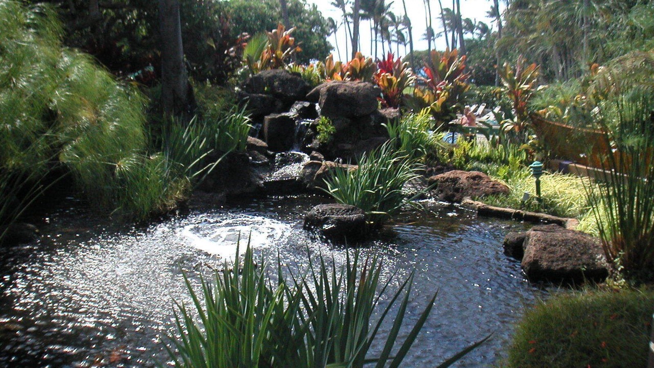 Photo of Outdoor in Napili