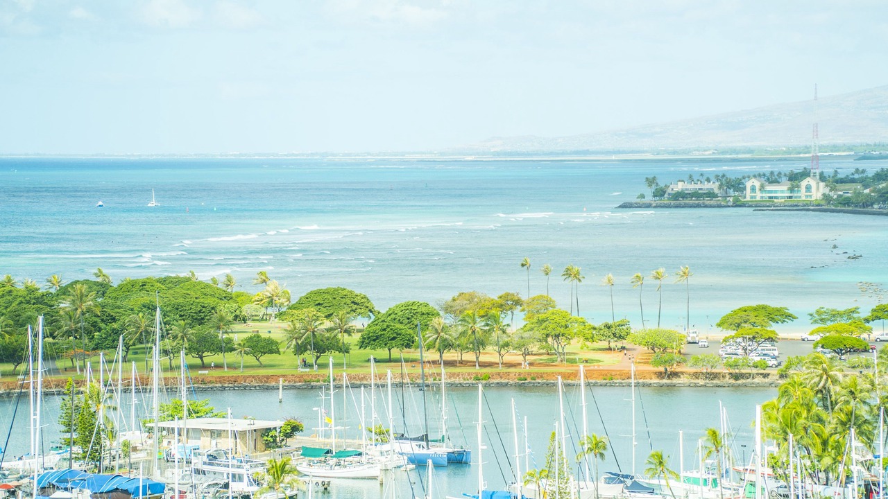 Photo of Others in Waikiki
