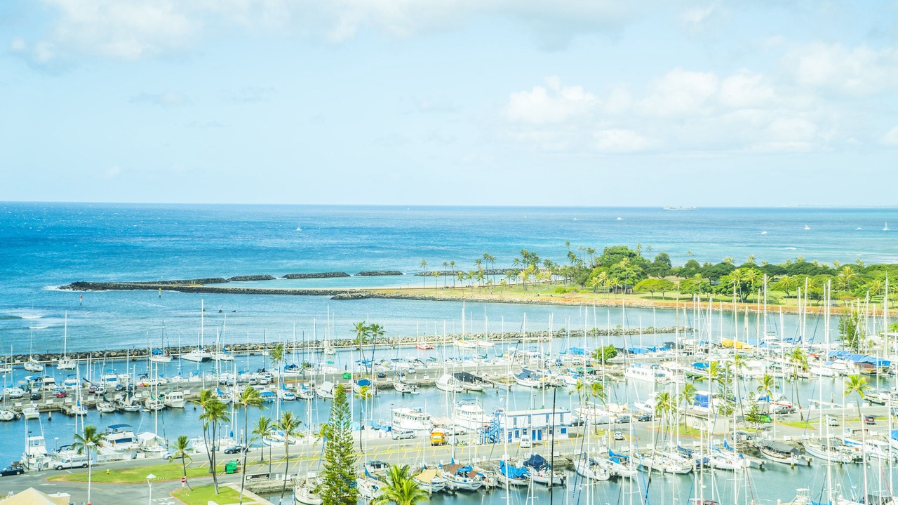 Photo of Others in Waikiki
