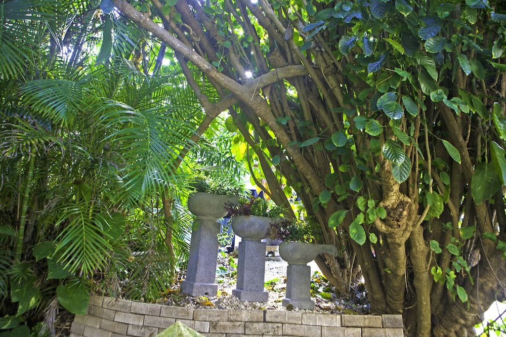 Photo of Outdoor in Lanikai