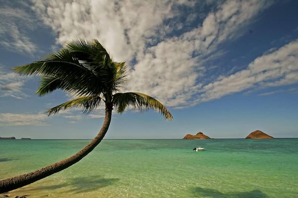 Photo of Others in Lanikai