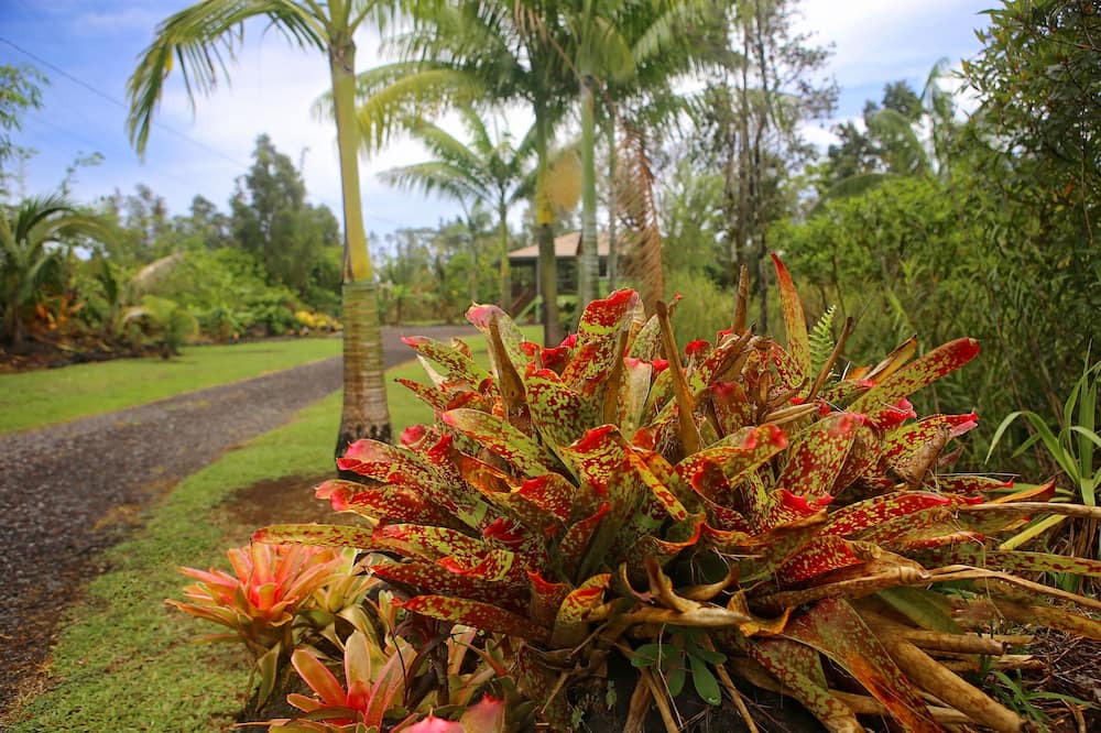 Photo of Others in Keaau