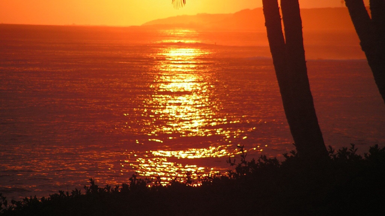Photo of Others in Poipu