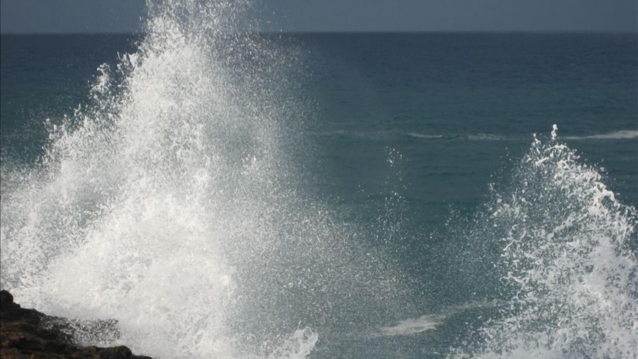 Photo of Others in Poipu