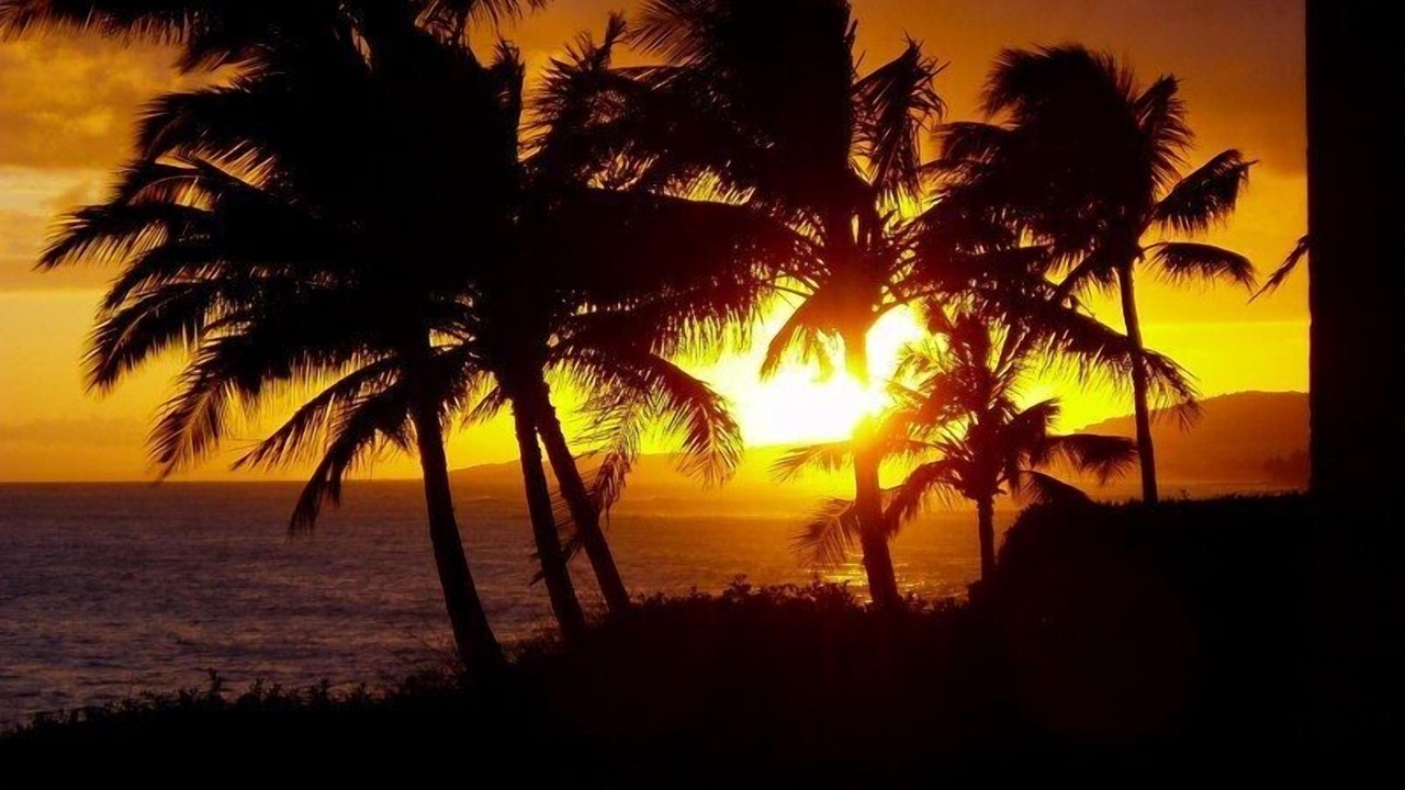 Photo of Others in Poipu