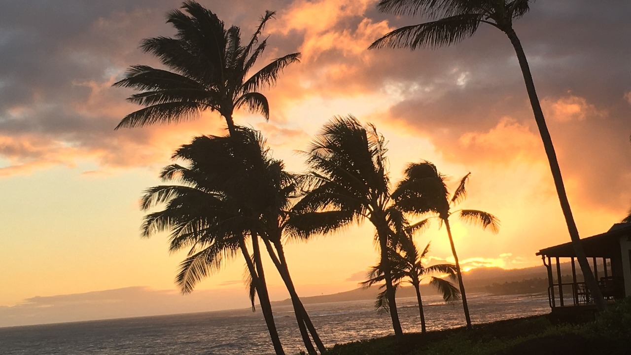Photo of Outdoor in Poipu