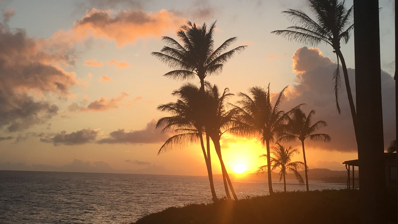 Photo of Others in Poipu