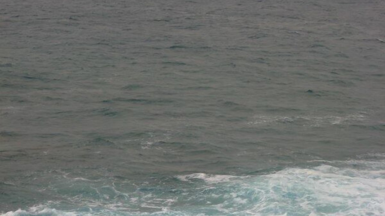 Photo of Others in Poipu