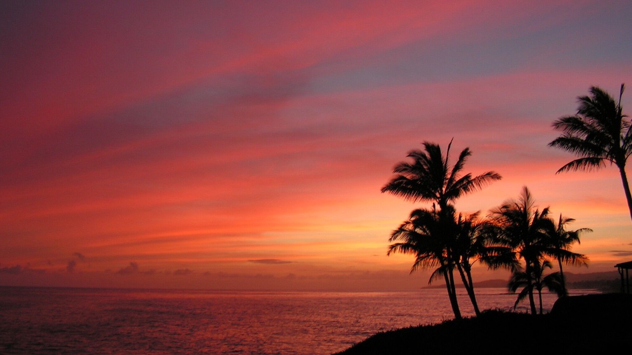 Photo of Others in Poipu