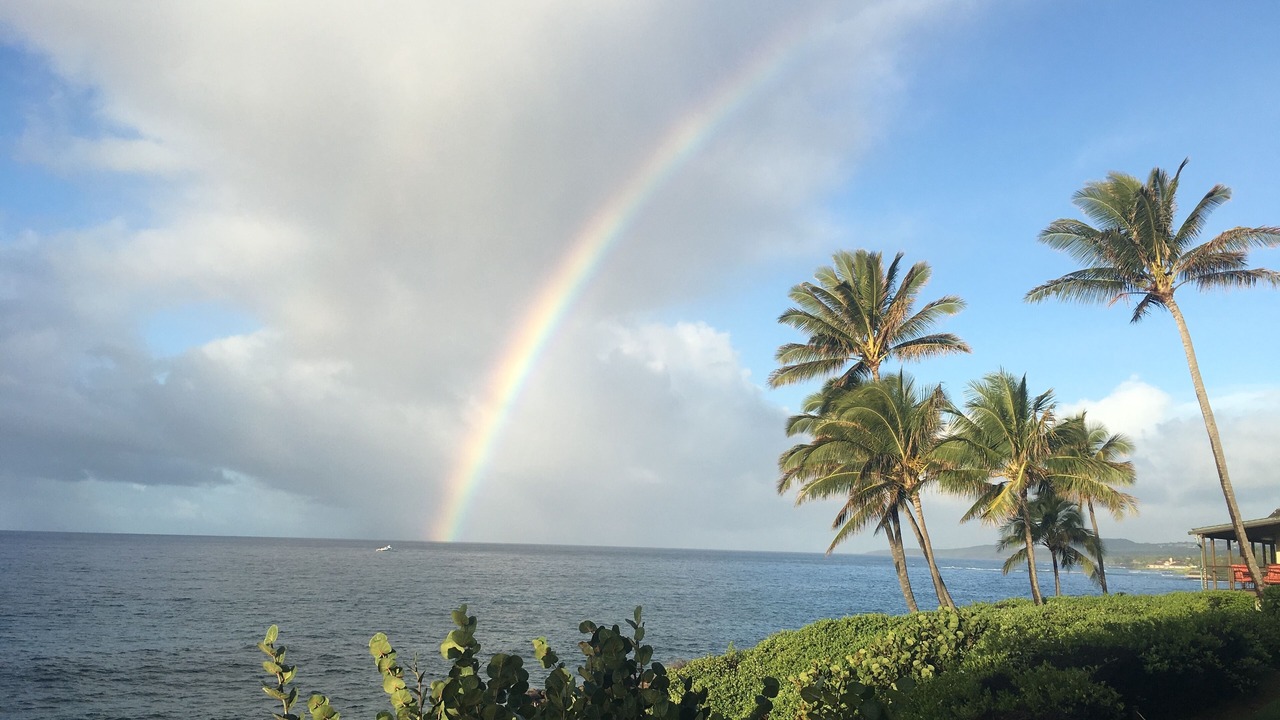 Photo of Others in Poipu