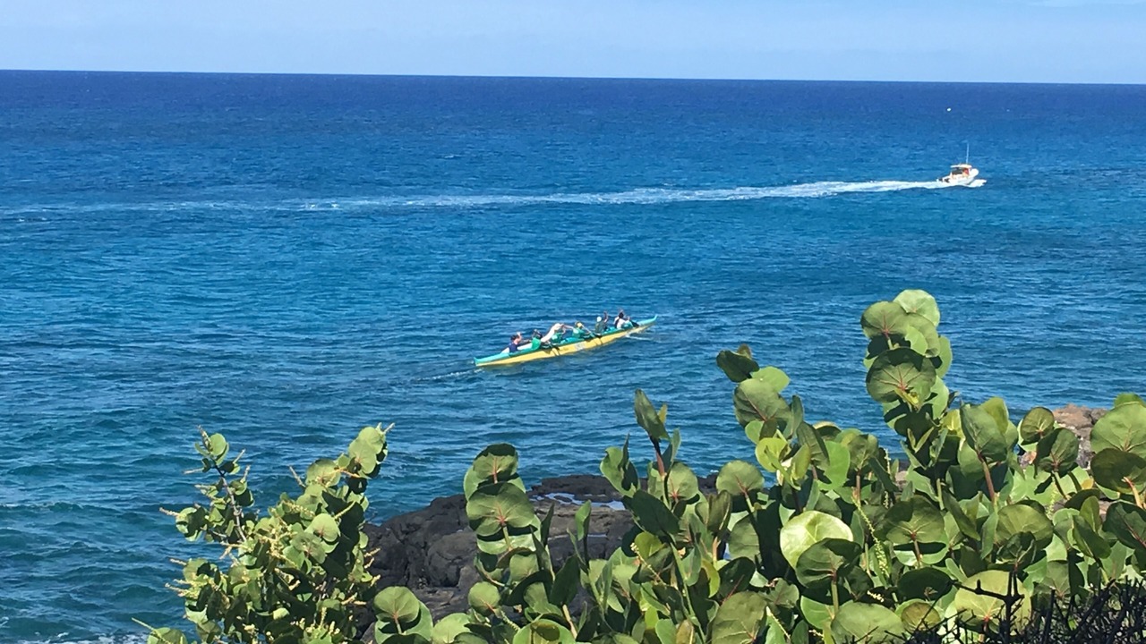 Photo of Others in Poipu