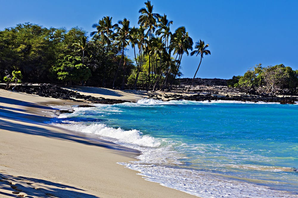 Photo of Others in Keauhou