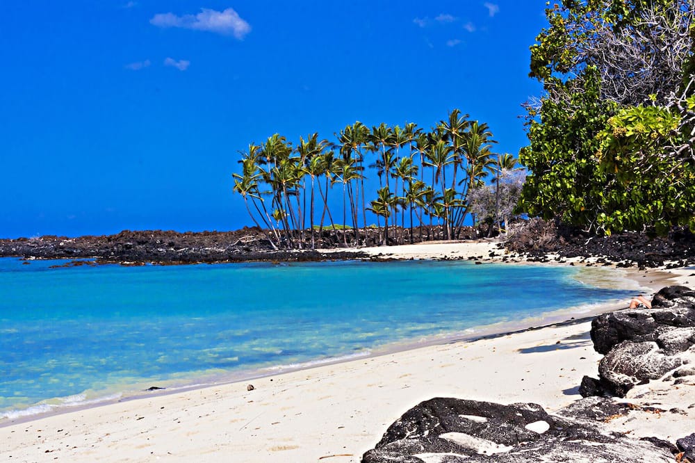 Photo of Others in Keauhou