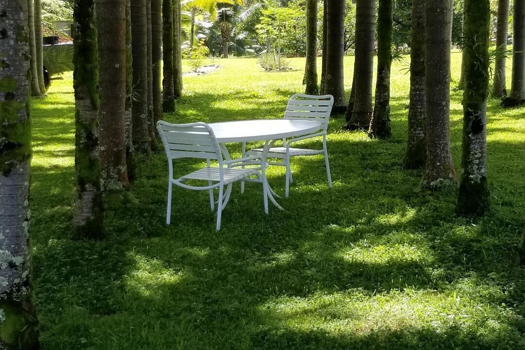 Photo of Outdoor in Pepeekeo