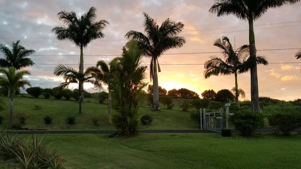 Photo of Outdoor in Pepeekeo