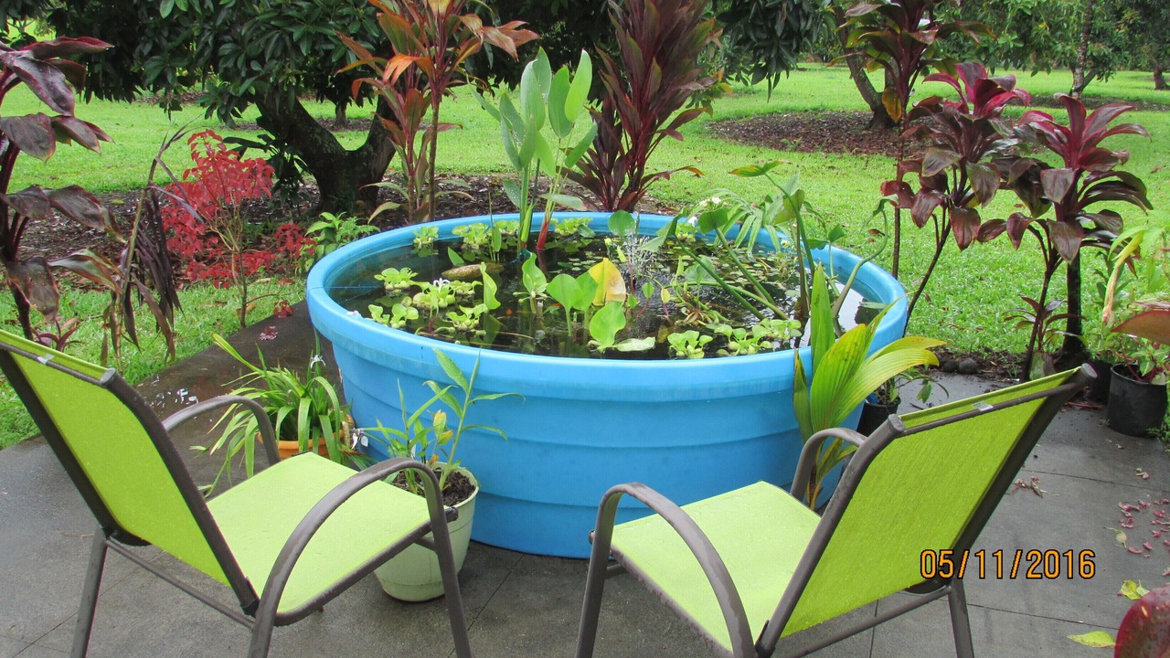 Photo of Outdoor in Pepeekeo