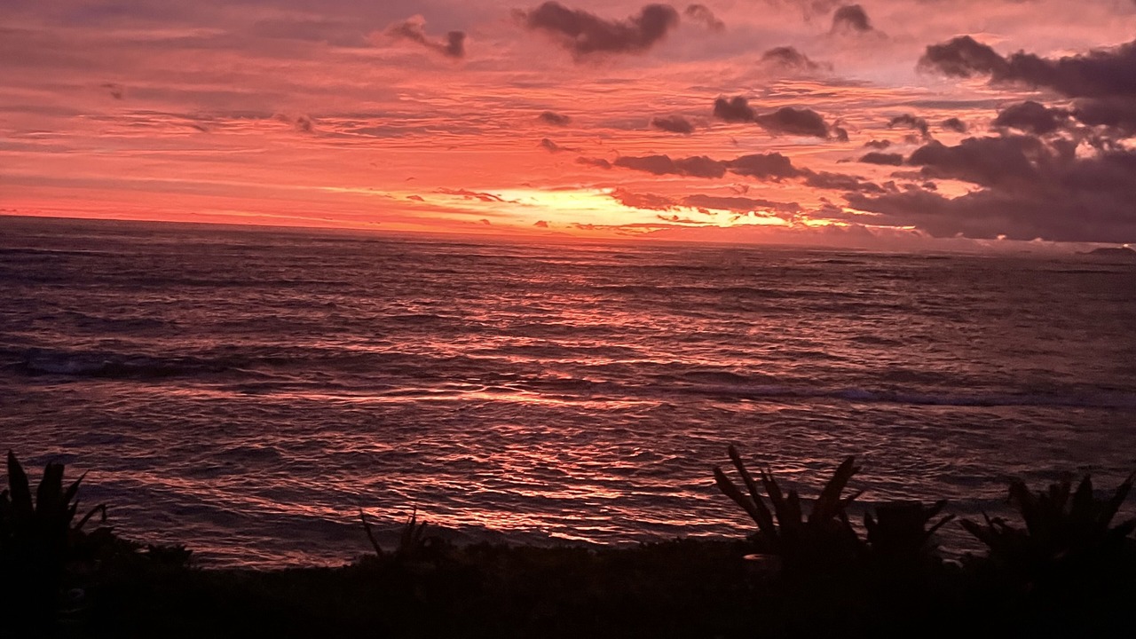 Photo of Others in Laie