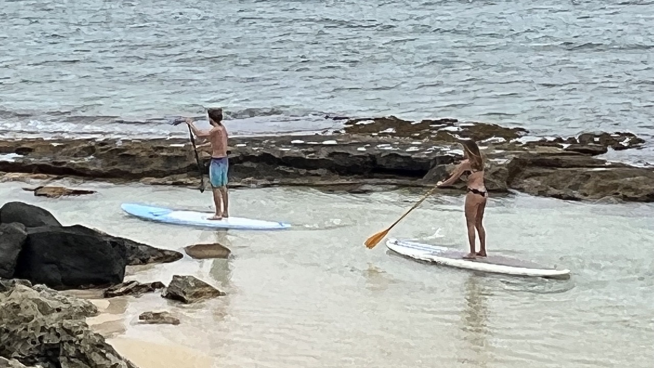 Photo of Others in Laie