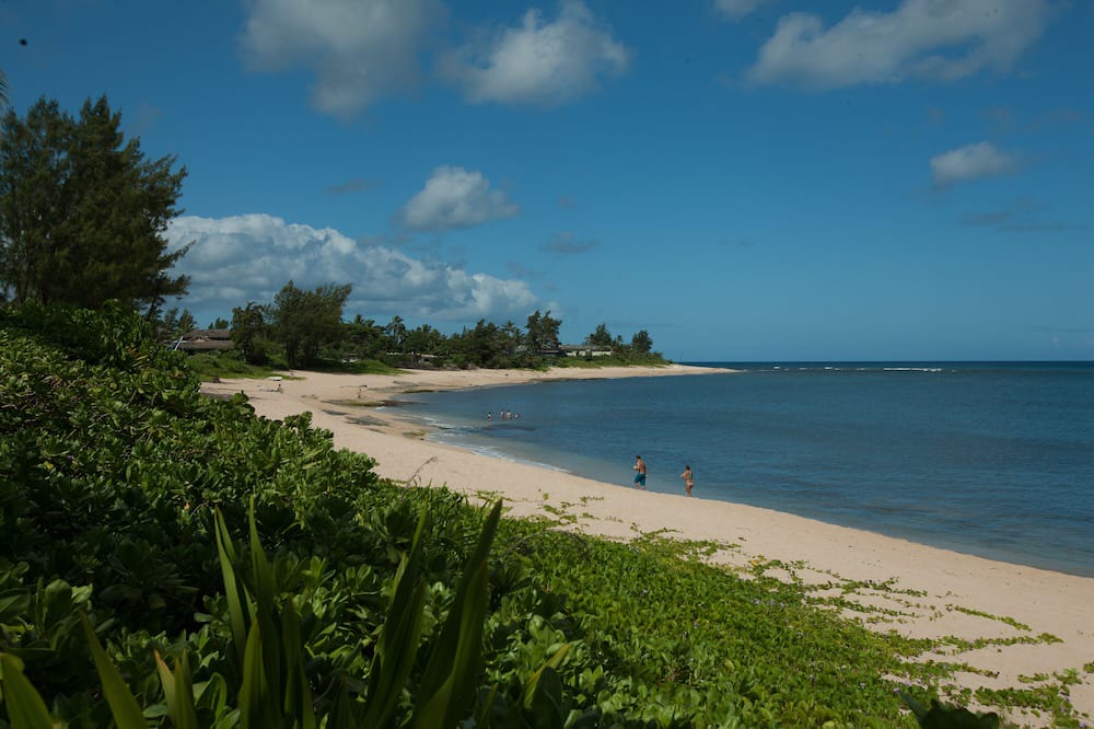 Photo of Others in Pupukea