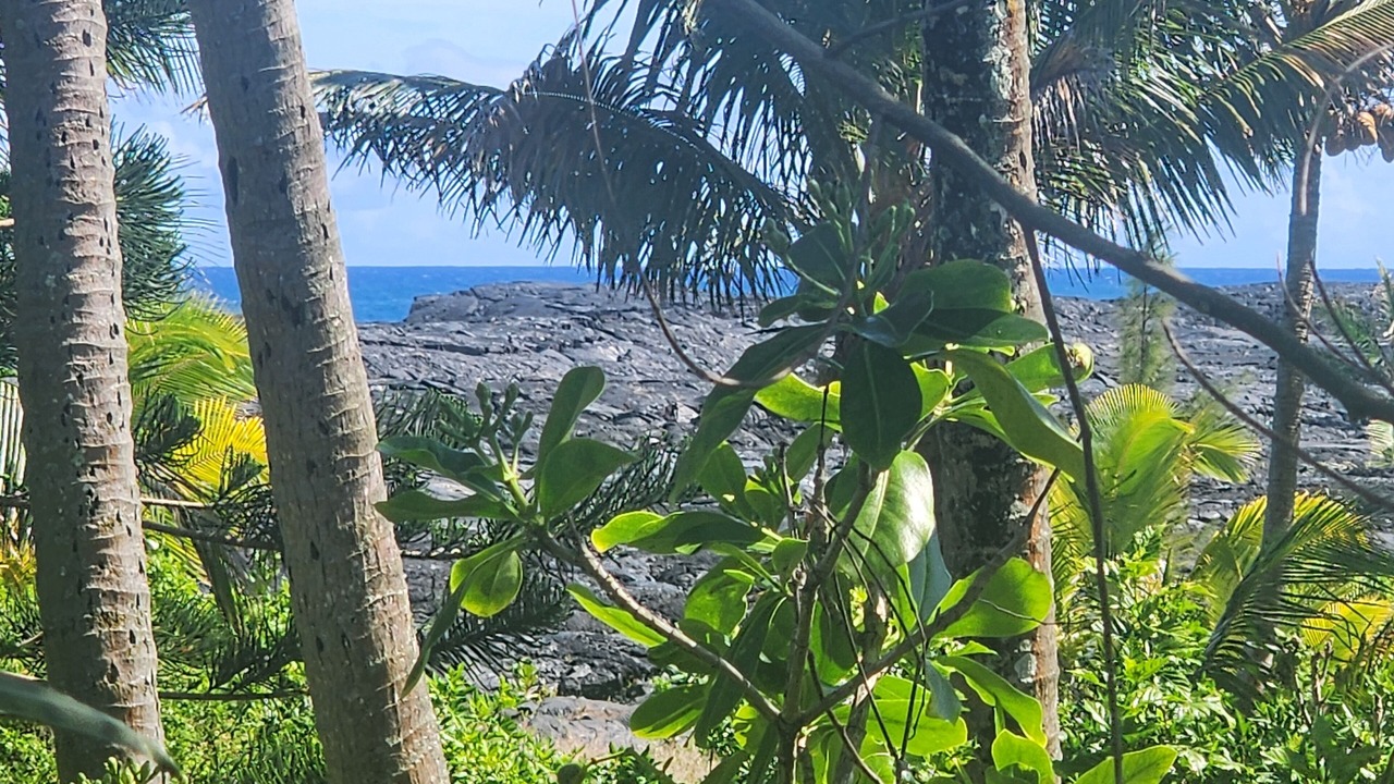 Photo of Outdoor in Kalapana