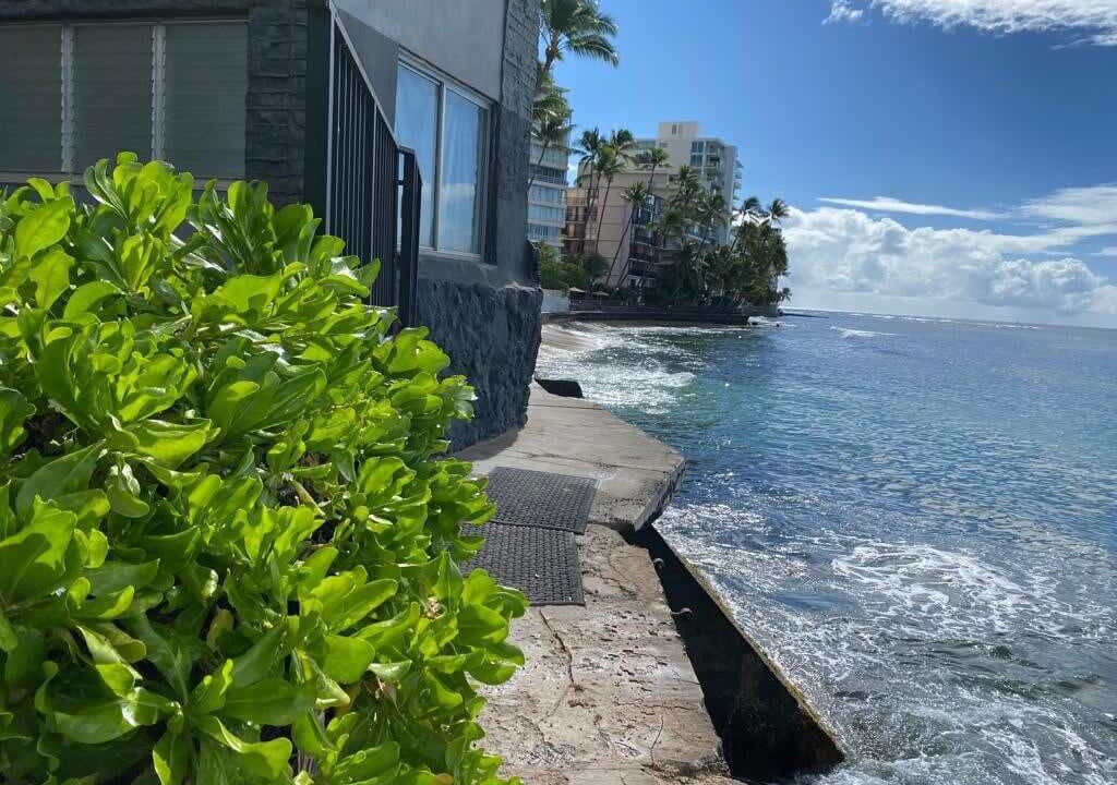 Photo of Others in Diamond Head - Kapahulu - St. Louis