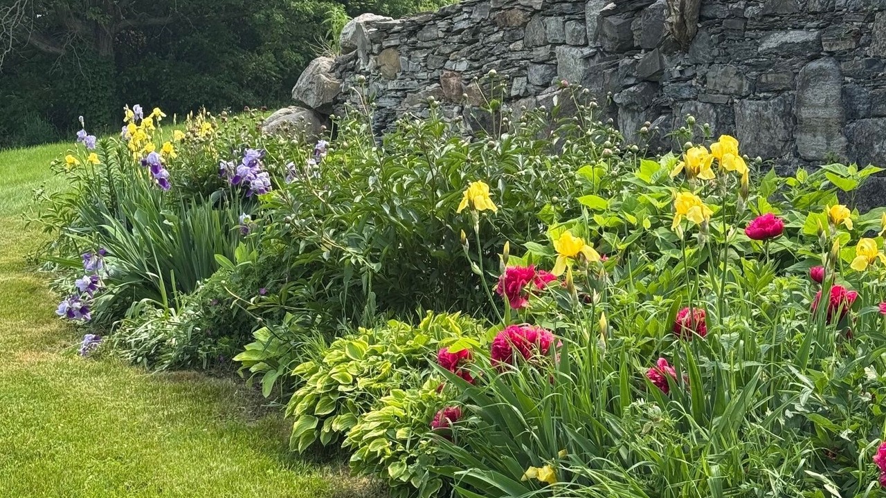 Photo of Outdoor in North Hero