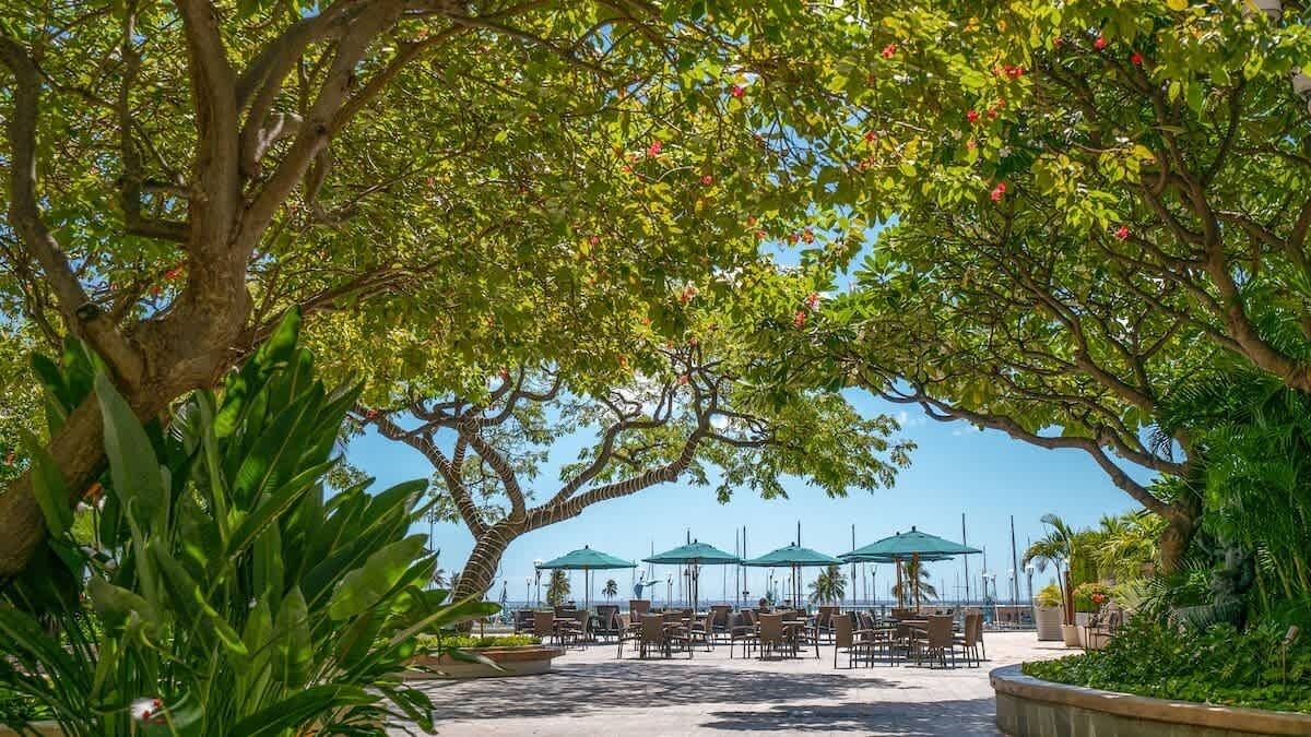 Photo of Outdoor in Waikiki