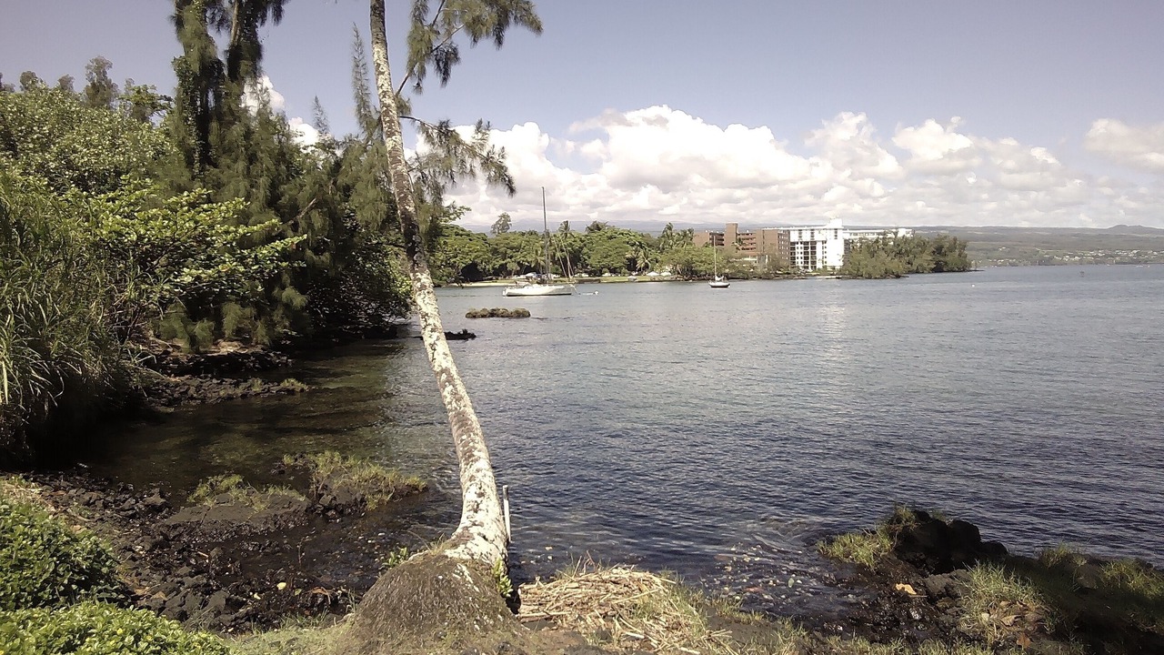 Photo of Others in Keaukaha