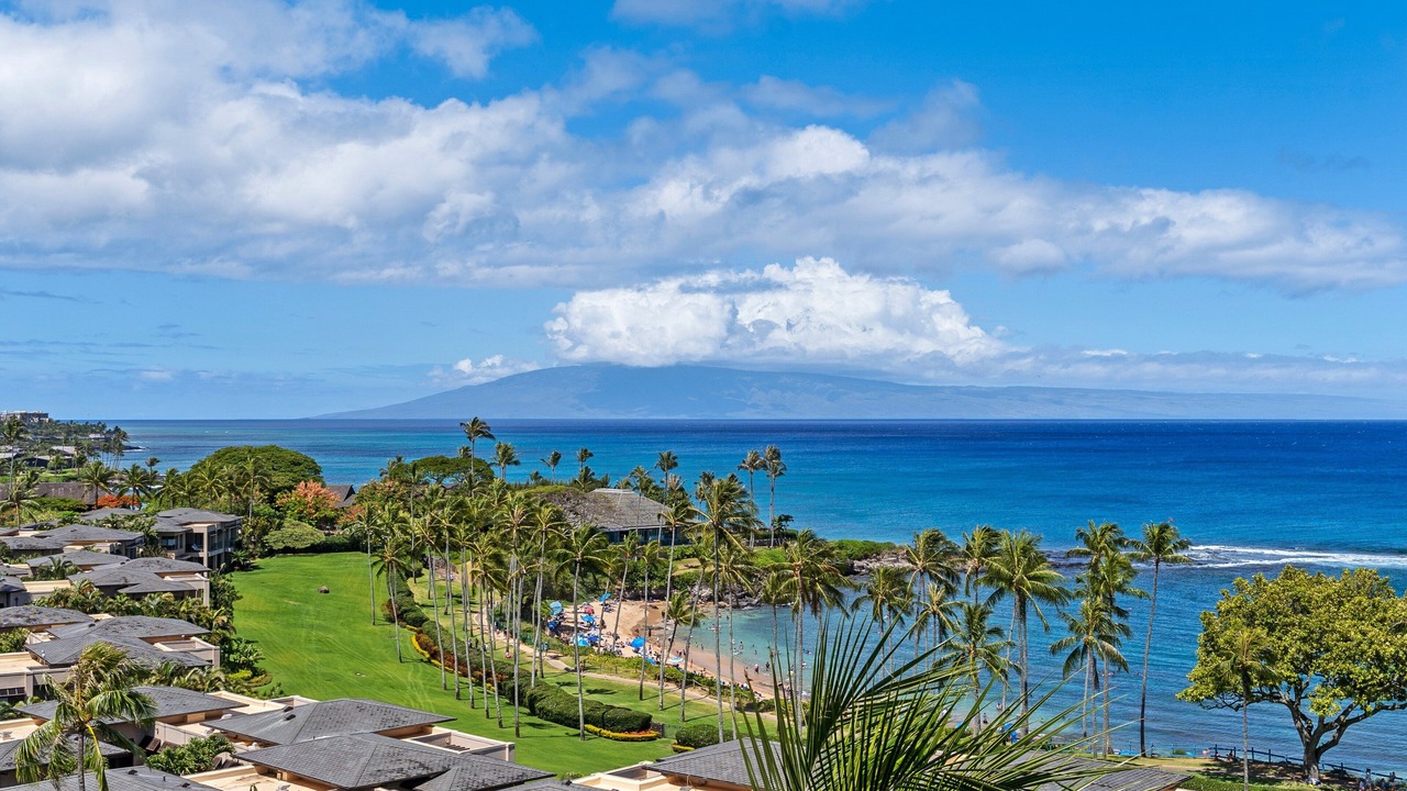 Photo of Others in Napili