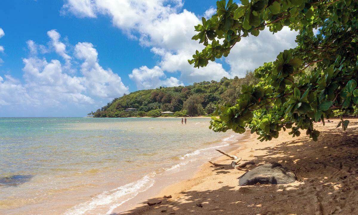 Photo of Others in Princeville