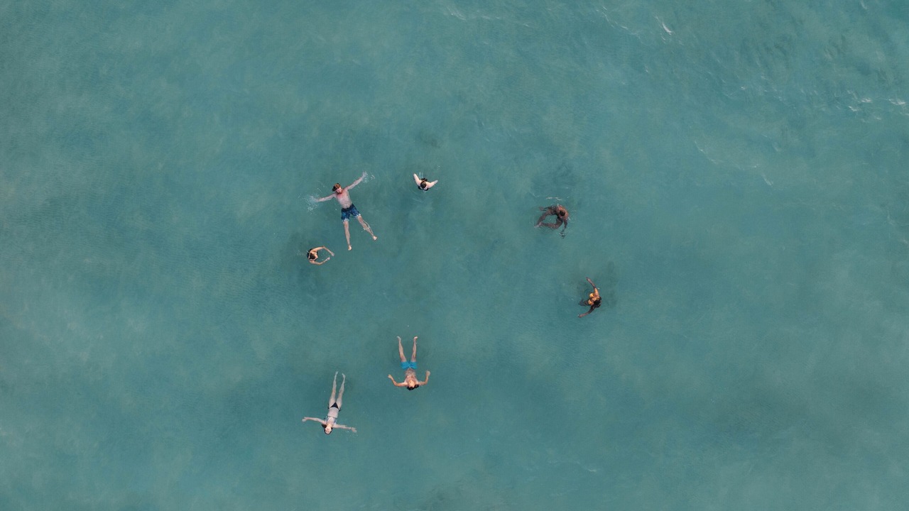Photo of Others in Hilo