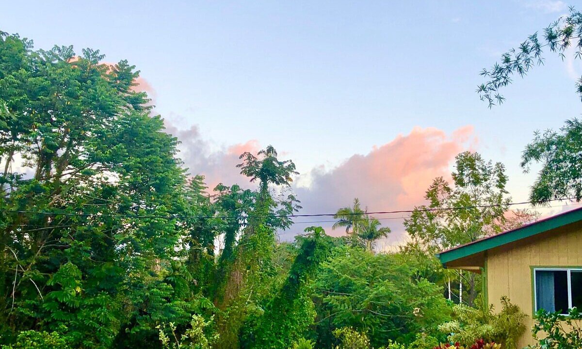 Photo of Outdoor in Orchidlands Estates