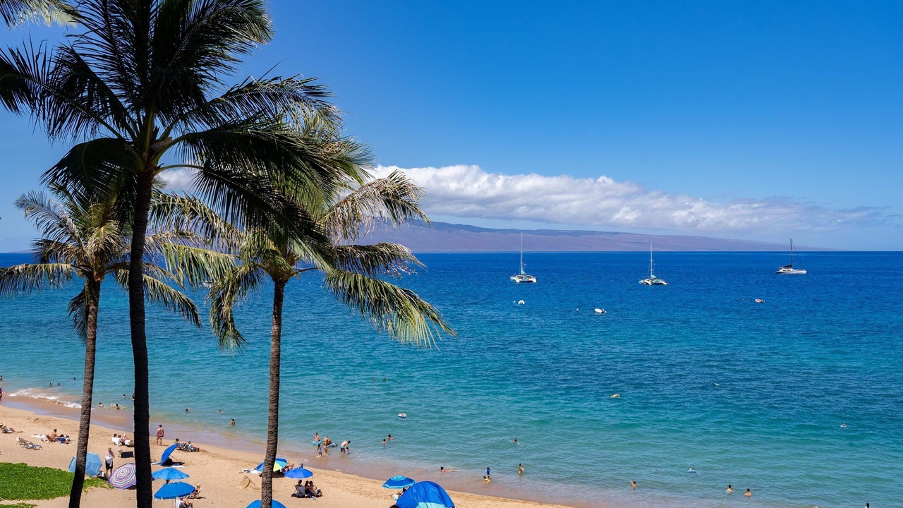 Photo of Others in Kaanapali