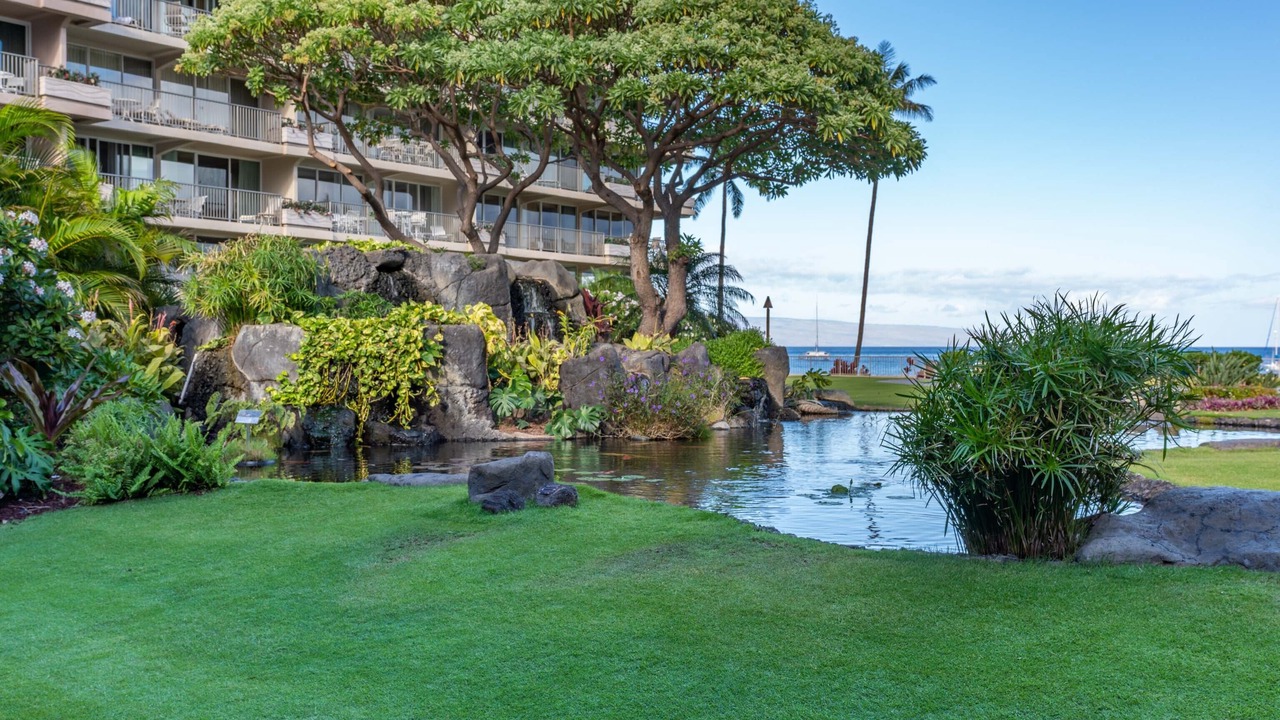 Photo of Outdoor in Kaanapali