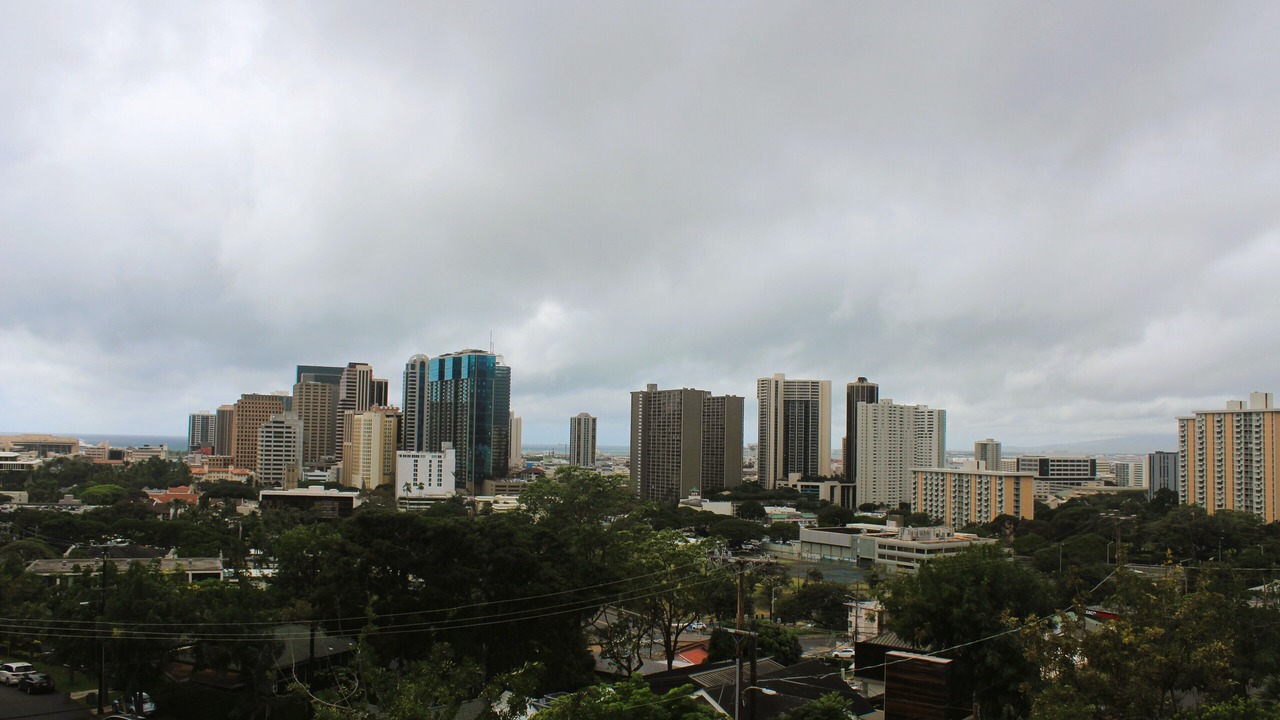 Photo of Outdoor in Manoa