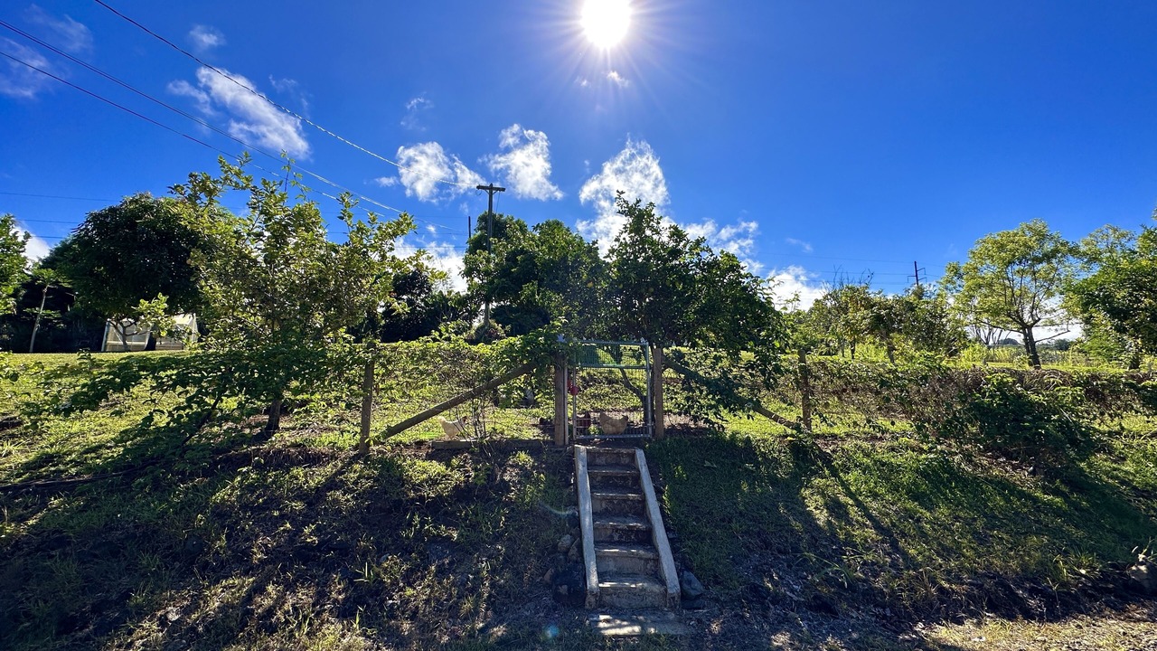 Photo of Others in Hawaii Island