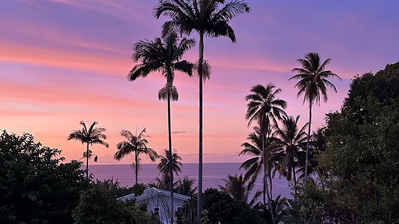 Photo of Outdoor in Hawaii Island