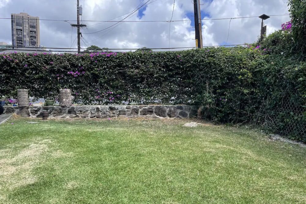 Photo of Outdoor in Pacific Heights