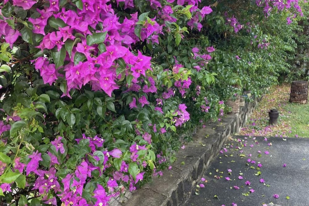 Photo of Outdoor in Pacific Heights