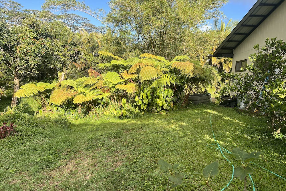 Photo of Outdoor in Keaau