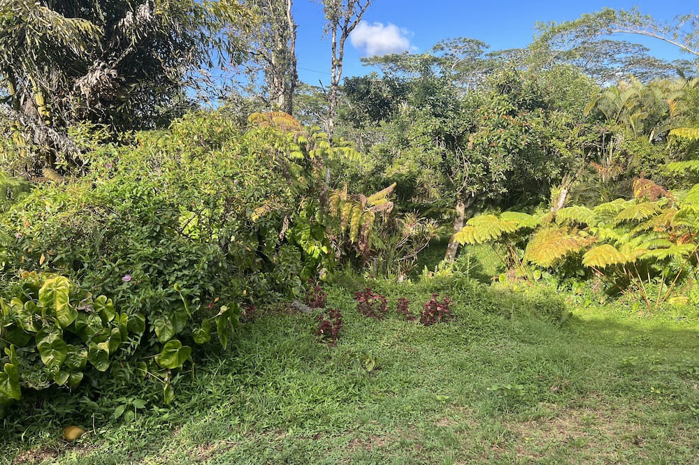 Photo of Outdoor in Keaau