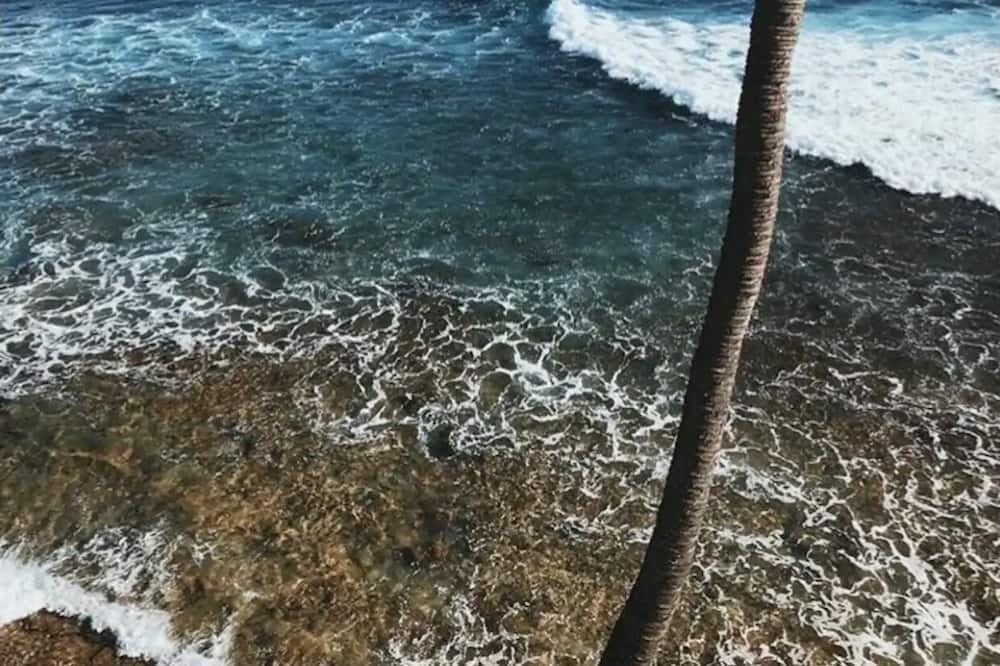 Photo of Others in Makaha