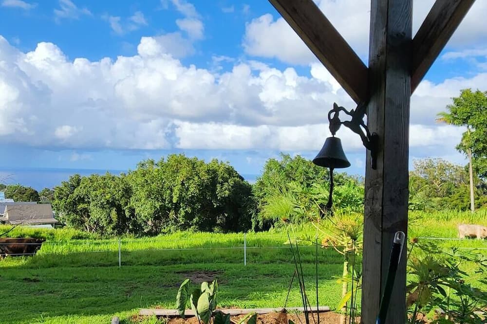 Photo of Others in Papaaloa